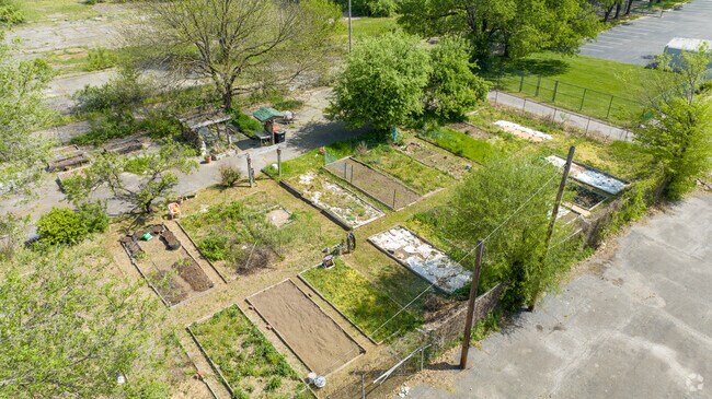 In Limerick you can join the Community Garden and grow on a small plot along with your neighbors.