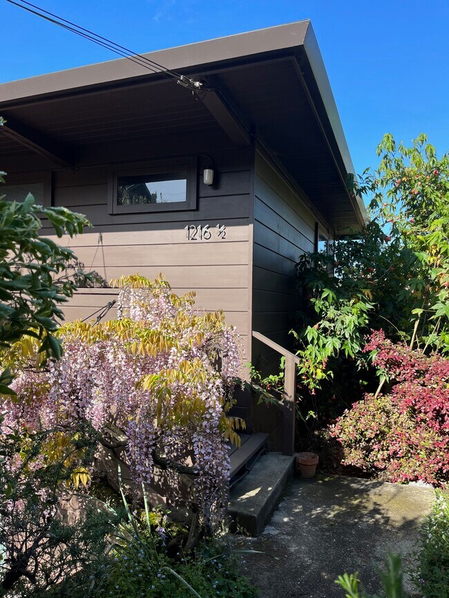 Upper-Level Front Path (2 of 2)