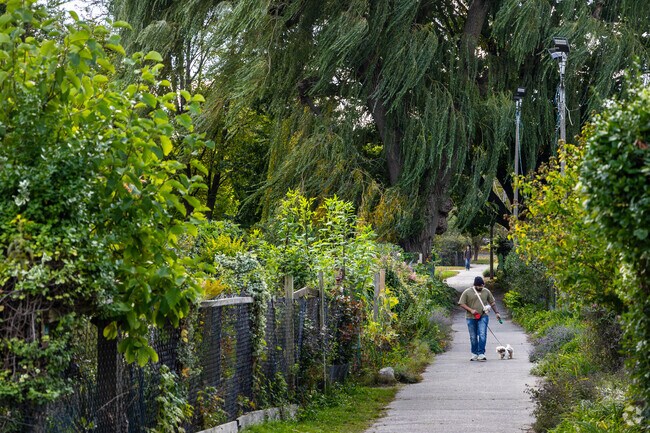 Enjoy a walk through the Back Bay Fens in Fenway.