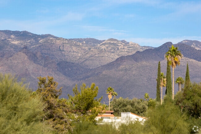 Palo Verde Park has great views of Mt. Lemmon to the north.