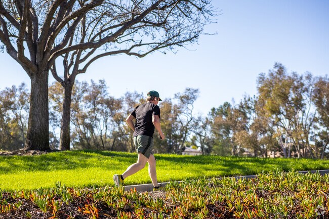 Find shady running trails and paths throughout Newport North.