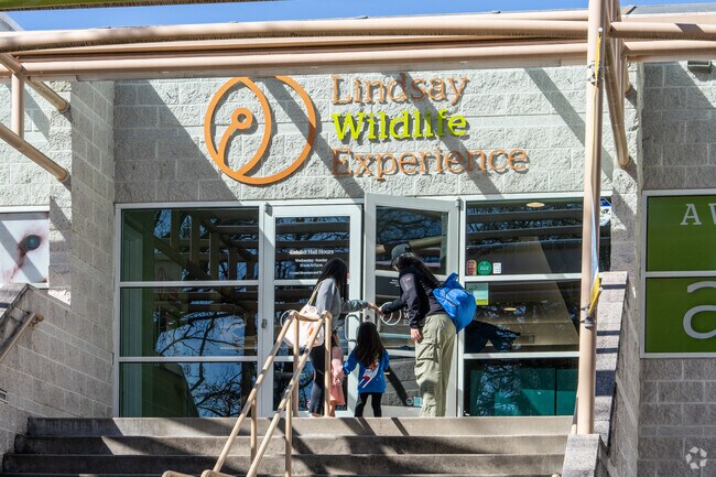 Explore rescued wildlife up close at Lindsey Wildlife Museum in Walnut Creek.