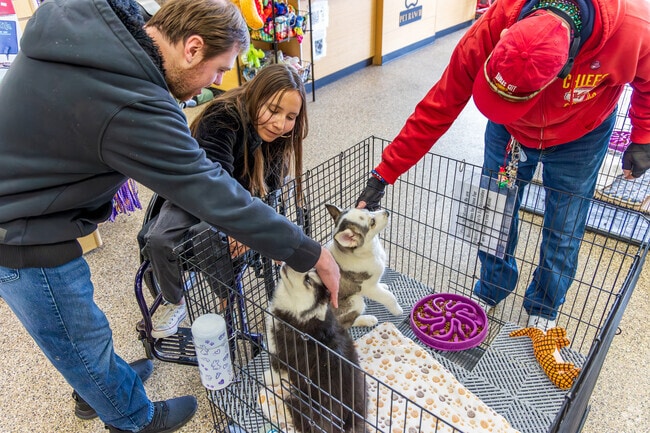 Pet Ranch is a high-quality pet and pet supply store.