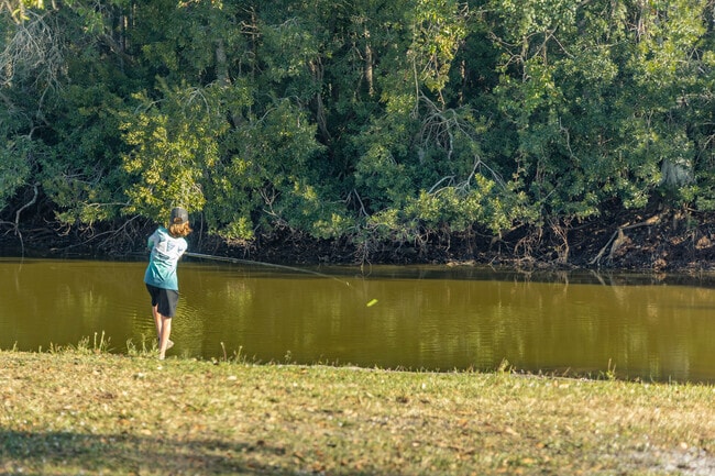 There is always a great little fishing spot in Seven Springs.