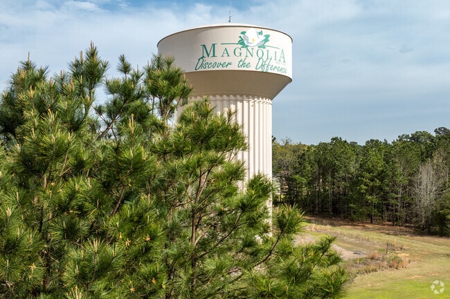 Magnolia is a city located in rural Arkansas and has a population of 11,000 residents.