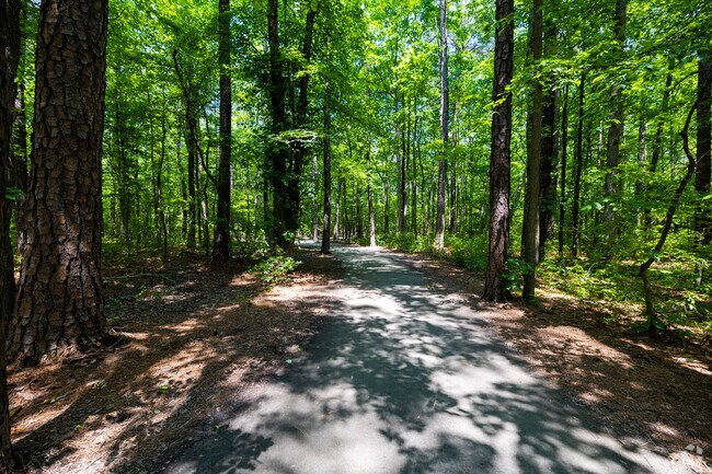 Lose yourself on a relaxing hike in the woods of Huguenot Park.