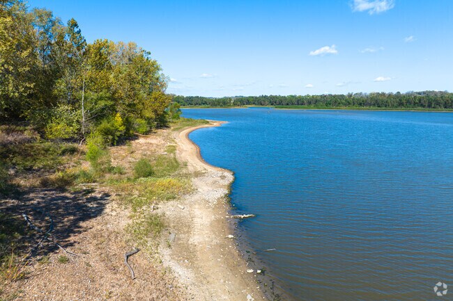 Miles of coastline along the lake in Winter Park allows access to the water.