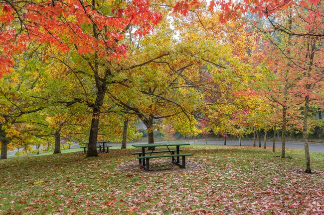 Cozy Autumn scenery at Nelson Park in the Croisan-Illahe neighborhood.