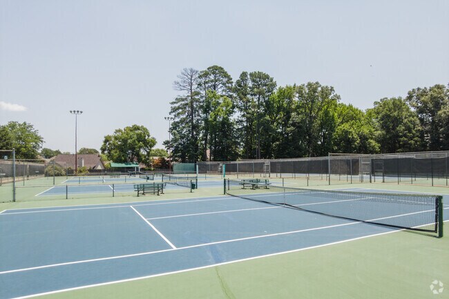 Tennis courts in Otter Creek Park in the small town of Otter Creek Crystal, Arkansas.
