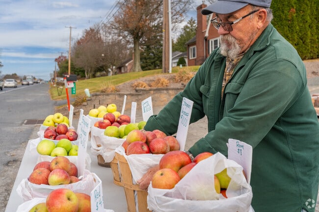 Local orchard owners in Washington Township Berks sell apples along Route 100 for fresh, crisp variety.