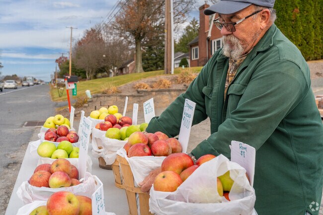 Local orchard owners in Washington Township sell fresh, crisp apples along Route 100.