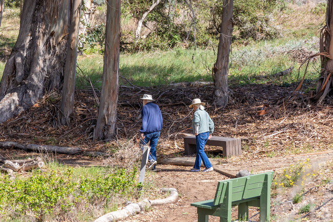 There are many popular hiking trails in Los Osos.
