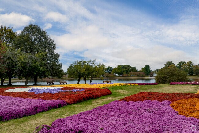 Mums surround Lake Anna near Johnsons Corners.