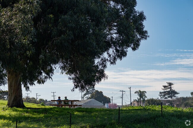 Locals enjoy the scenery and lifestyle in View Pointe.