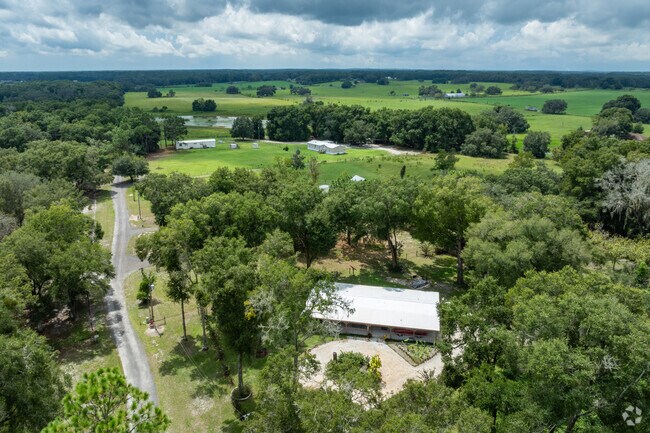 Withlacoochee Heights homes are scattered amongst sets of mature trees.