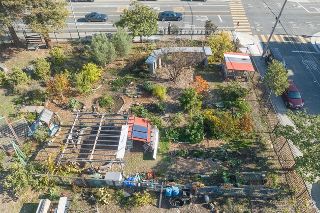 The kids grow lots of food at their community garden at Hoover Elementary School in Oakland.