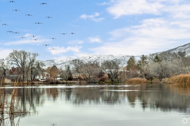 Birds fly over Blood’s Pond in West Kaysville.
