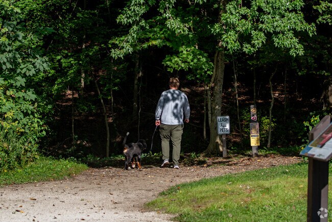 Enjoy the fresh air and a walk in the park with mans best friend in Merriman Valley