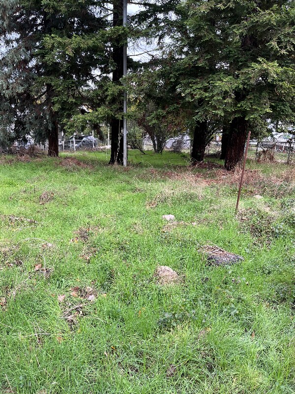 39 Stark Ln, Jackson, CA 95642 - photo 7