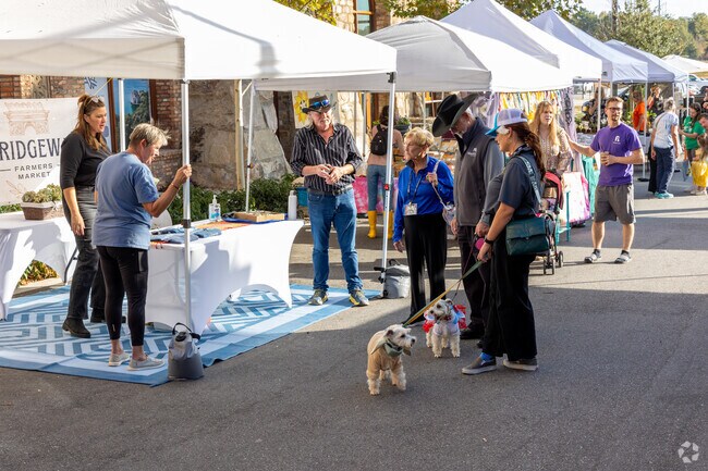 Even the pets got in on the dressing up for the Harvest and Hallows Market in Mauldin.