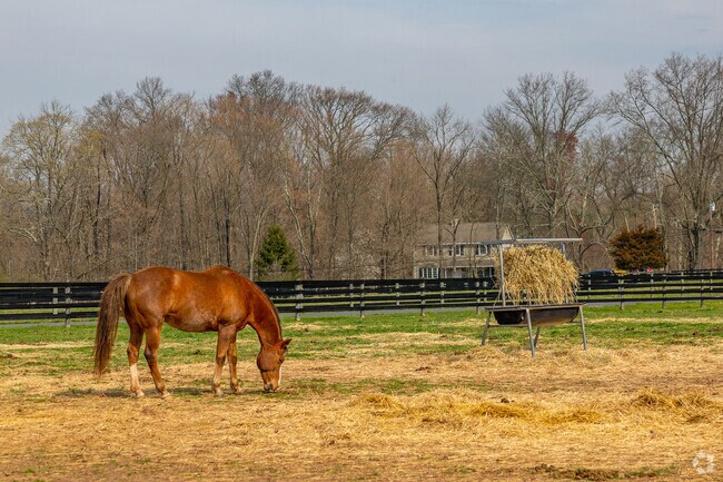The Hiking Trails at Curlis Lake Woods take you to Mercer Meadows Equestrian Center.