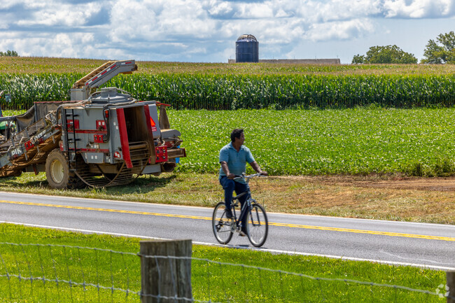 Bike along towering corn fields to produce stands and shops in Donerville.