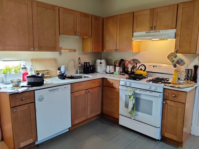 1426 Commonwealth Ave unit 1, Boston, MA 02135 - photo 4