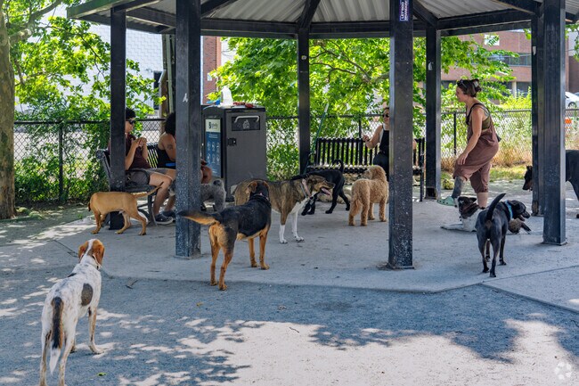 The Zero Washington Dog Park is a favorite spot to enjoy a day out for many Inner Belt locals and their pets.