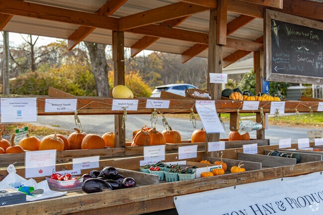 Locals can find remote produce stands along the rural roads of Sandyston.