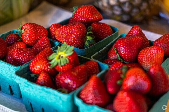 Goshen is surrounded by many farms.