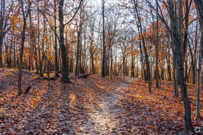 Rifle Camp Park in Clifton is an amazing place to hike away from the urban bustle.