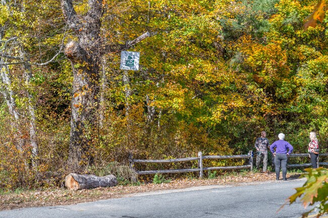 Hikers enjoy quiet walks at Parsons Reserve Trailhead in Great Neck’s wooded trails.