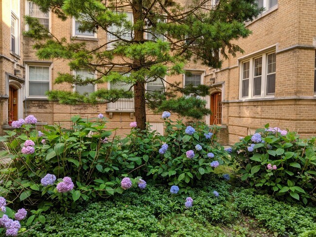 828 Reba Place unit 30-3N, Evanston, IL 60202 - photo 2