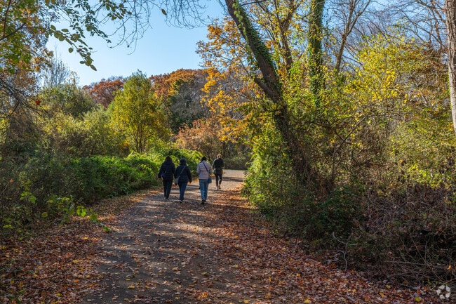 Bask in autumnal magic inside the peaceful Massapequa Preserve in North Massapequa.