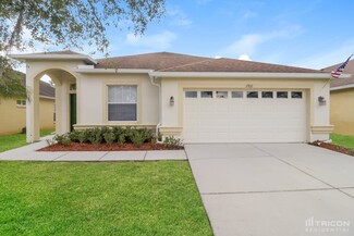 3921 Langdrum Dr, Wesley Chapel, FL 33543