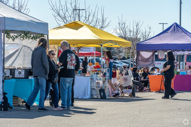 Support local artists and talented vendors at the MoVal festival, a hub of creativity.