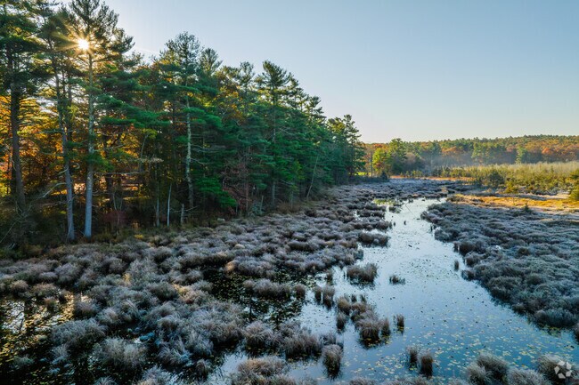 Morning light warms up cold frost on the ground, making for beautiful landscapes.
