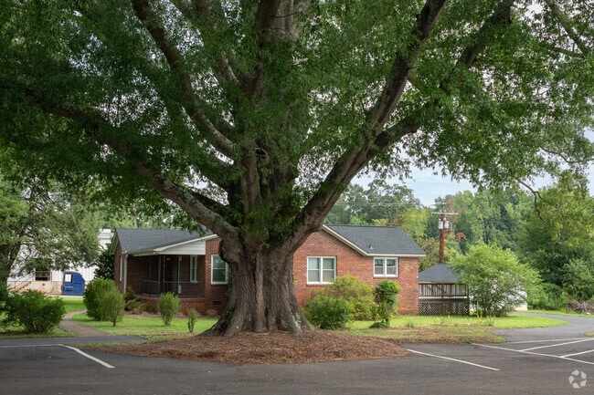 Massive trees can be found in the front yards of more rural homes in Roebuck,