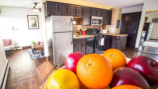 Tree Tops Apartments, Minneapolis, MN 55408 - photo 5