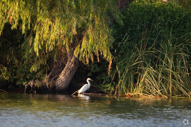 Lake Braunig outside of Elmendorf is an excellent spot to enjoy a peaceful morning.