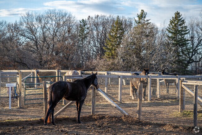 There are a number of horse farms throughout West Lakeland.