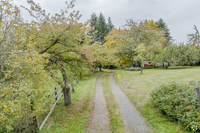 Fruit trees and large lots are common in the rural Olympic View Neighborhood.
