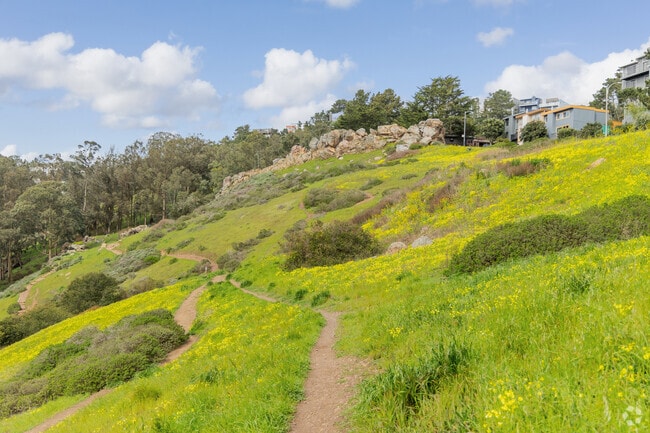 Glen Canyon Park is covered in flowering clovers in the spring time in Diamond Heights.