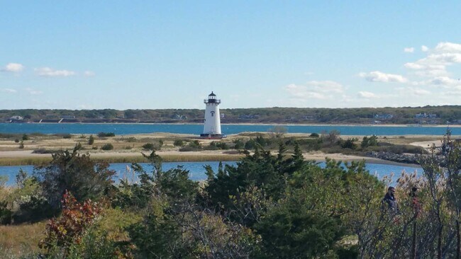 Alisan Lohan - Conway