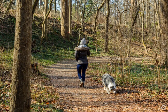 Deepdene Park is a great place to bring the dog out for an afternoon walk.