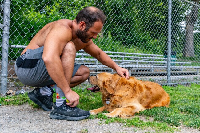 Shedd Park in Lower Belivdere is a perfect spot to spend some time with your dogs.
