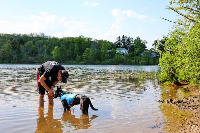 Mill Pond in West Newbury has a small dog friendly beach.
