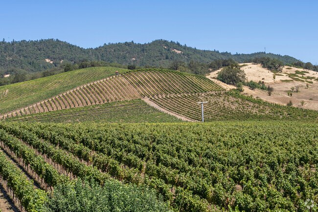 Discover Tenmile, OR: Home to horses, cattle, and an outdoor lover’s paradise.