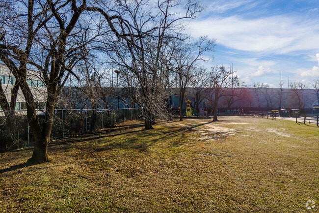 Cedar Tree Academy Public Charter School