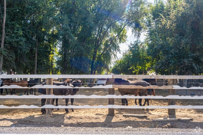 A true farming community and an equestrian’s paradise, Granger embraces its rural charm.